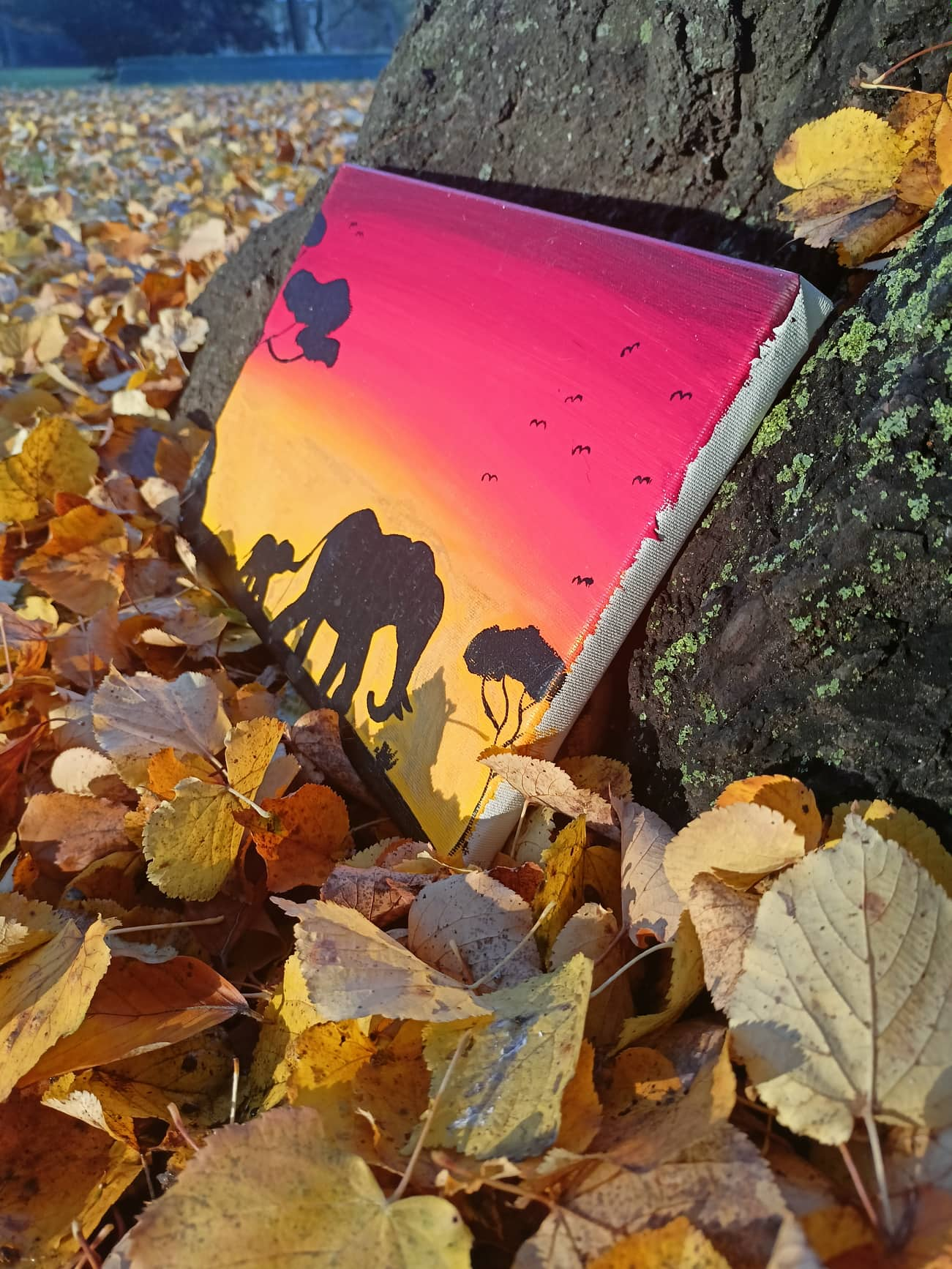 Elephants sunshine2,