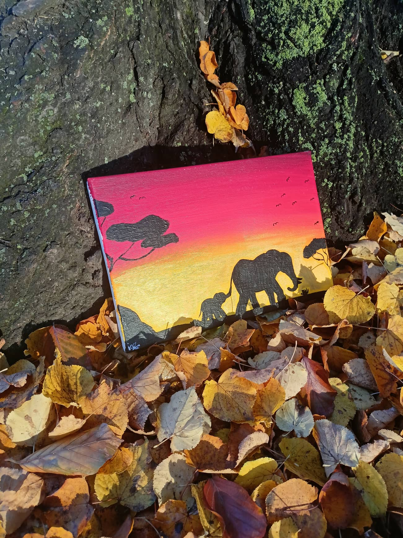 Elephants sunshine4.